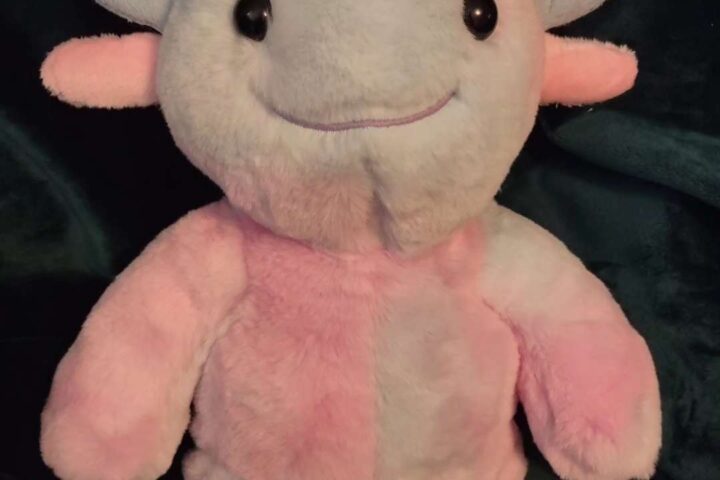 Axolotl Bear Pixelledsugar Plushies